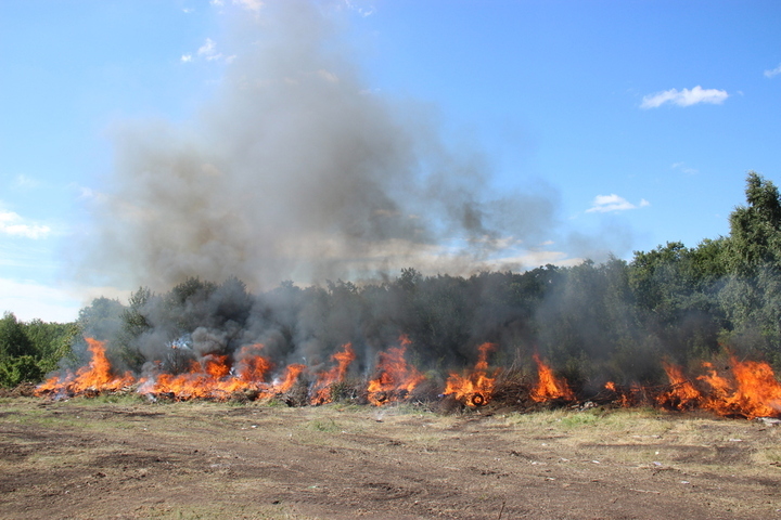 В Саратовской области начался ещё один пожароопасный сезон..
