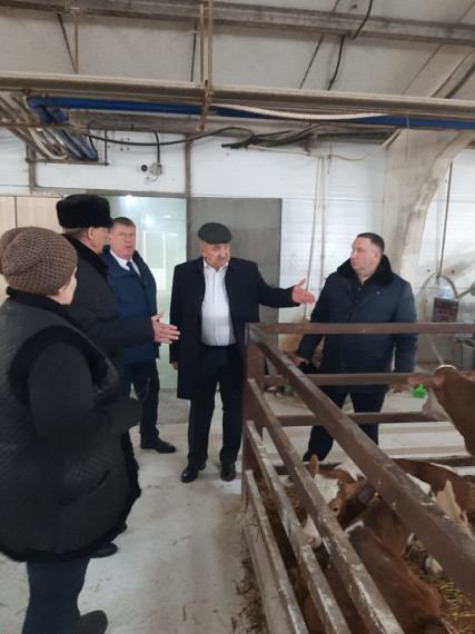 Глава Ртищевского района Александр Жуковский посетил молочно-товарную ферму АО "Ульяновский".